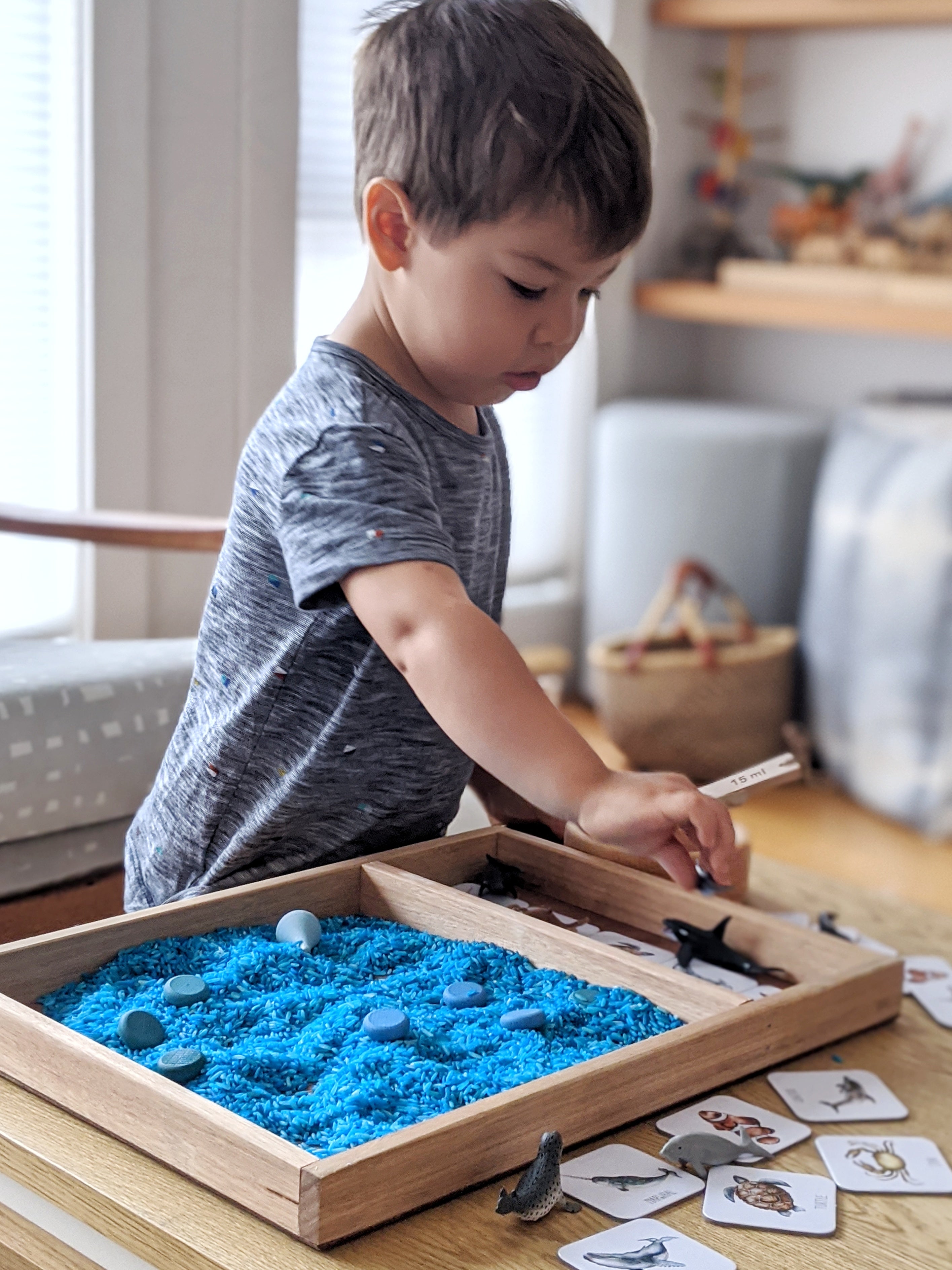 Discover Modern Monty: Australian Artisanal Educational Treasures